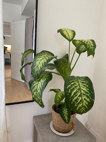 昂热Faites De Beaux Reves公寓 外观 照片